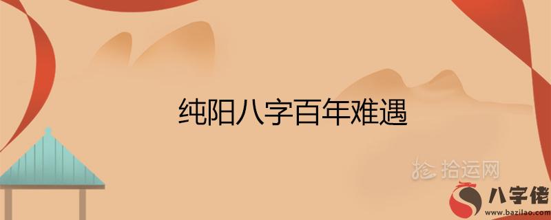 純陽八字百年難遇是什么意思